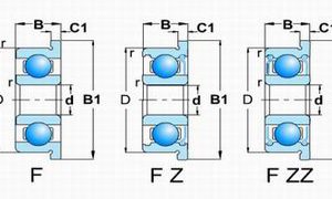 F60,62,67,68,69 Z/ZZ(Flange type with shields)