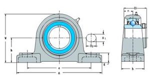 HCAK Series(Pillow Block Bearings)