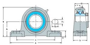 HCP Series(Pillow Block Bearings)