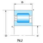 NJ2,3,10,22,23 (single row Cylindrical roller bearings)